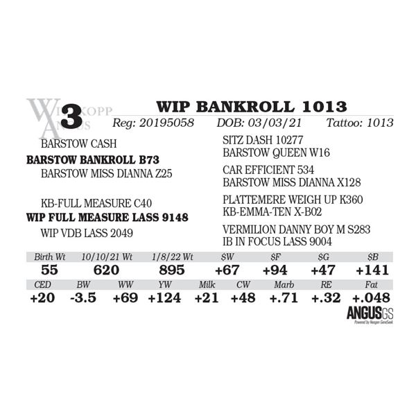 WIP BANKROLL 1013
