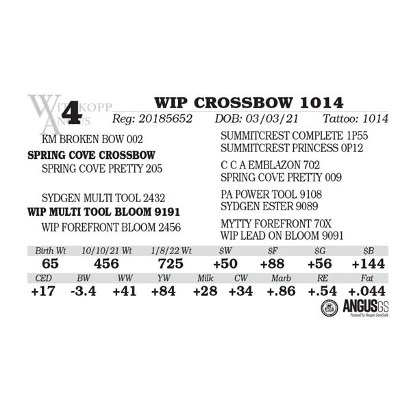 WIP CROSSBOW 1014