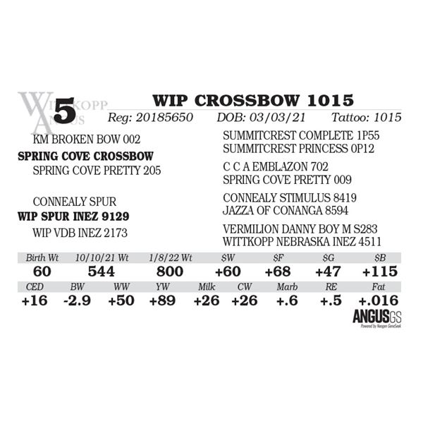 WIP CROSSBOW 1015