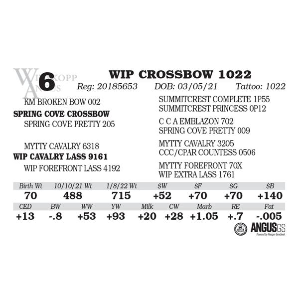 WIP CROSSBOW 1022