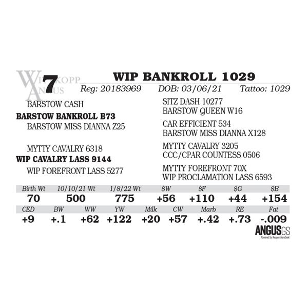WIP BANKROLL 1029