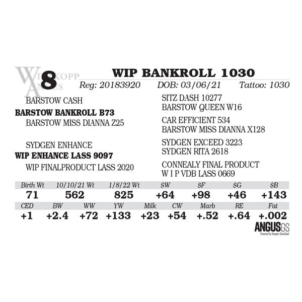 WIP BANKROLL 1030