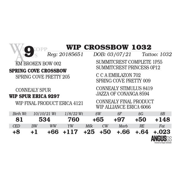 WIP CROSSBOW 1032