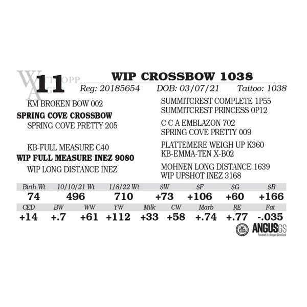 WIP CROSSBOW 1038