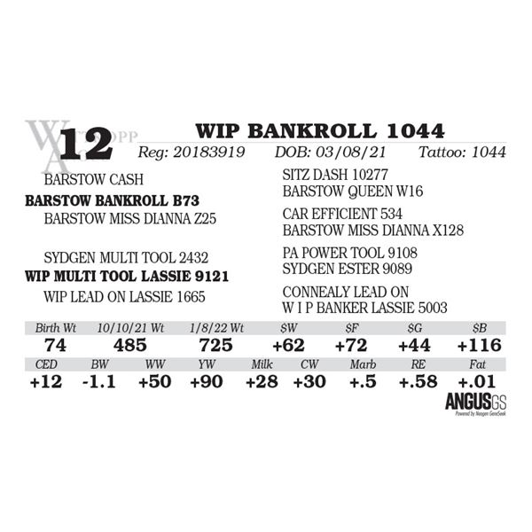 WIP BANKROLL 1044