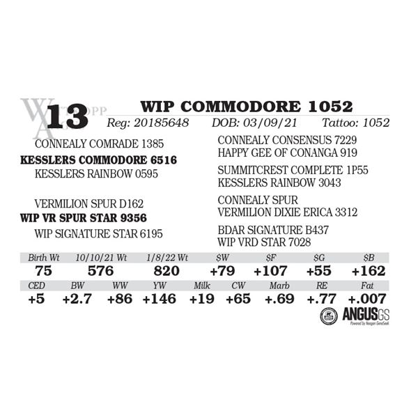 WIP COMMODORE 1052