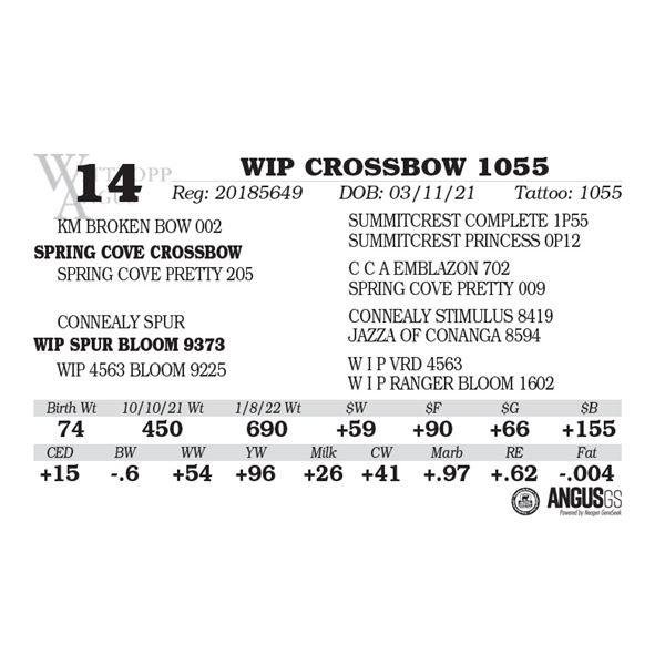 WIP CROSSBOW 1055