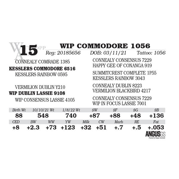 WIP COMMODORE 1056