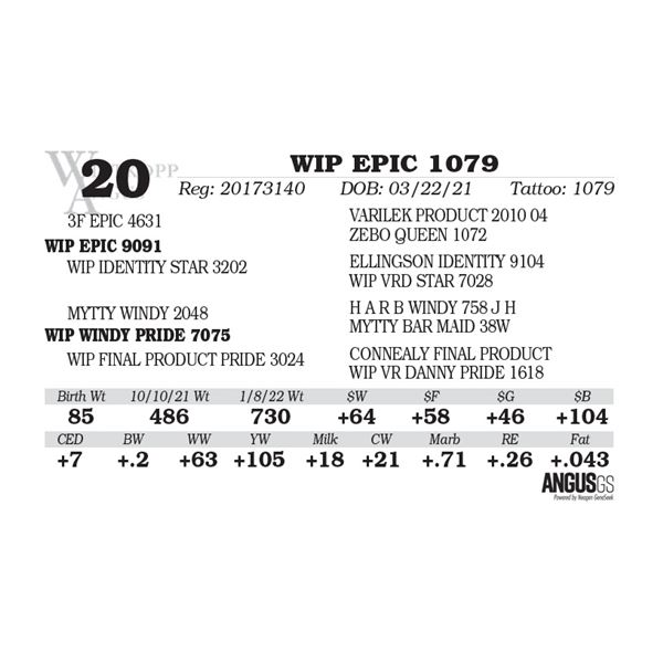 WIP EPIC 1079
