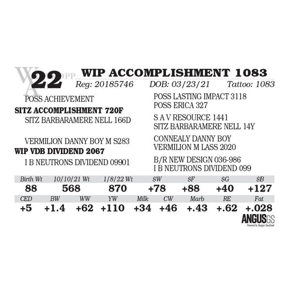 WIP ACCOMPLISHMENT 1083