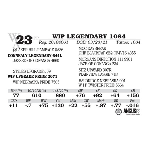 WIP LEGENDARY 1084