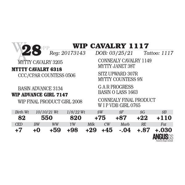WIP CAVALRY 1117