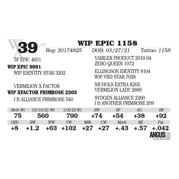 WIP EPIC 1158