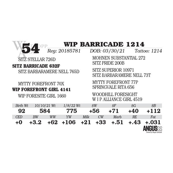 WIP BARRICADE 1214