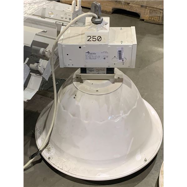 Cooper 120V M58 warehouse Light
