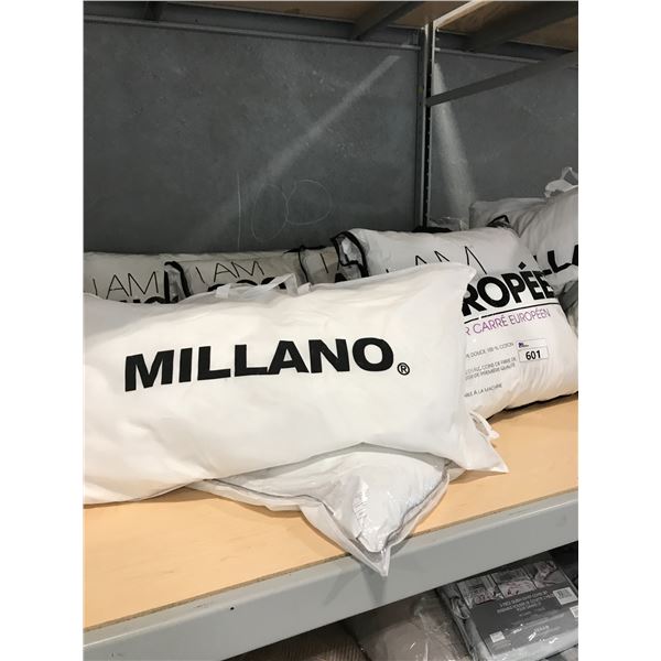 6 MISC PILLOWS INCLUDING 4 EUROPEAN