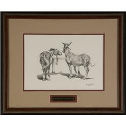 BONNIE SHIELDS ORIGINAL PENCIL DRAWING