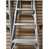 Image 1 : 5' LADDER