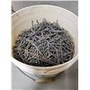 Image 1 : LOT OF NAILS