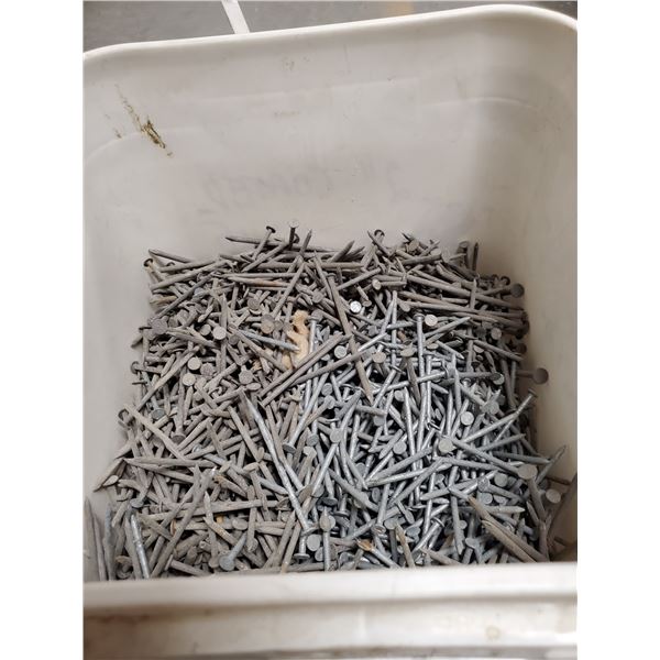 LOT OF 2'' NAILS