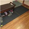 Image 1 : 2 ENTRANCE MATS APPROX 3X4 ,