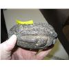 Image 2 : NORTHWEST COAST CARVED STONE BEAVER BOWL