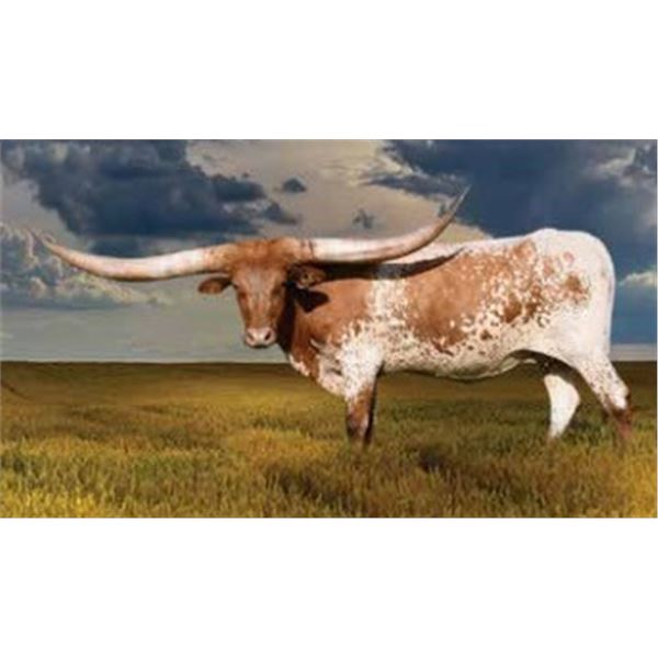 BCR SHINING GRACE 819