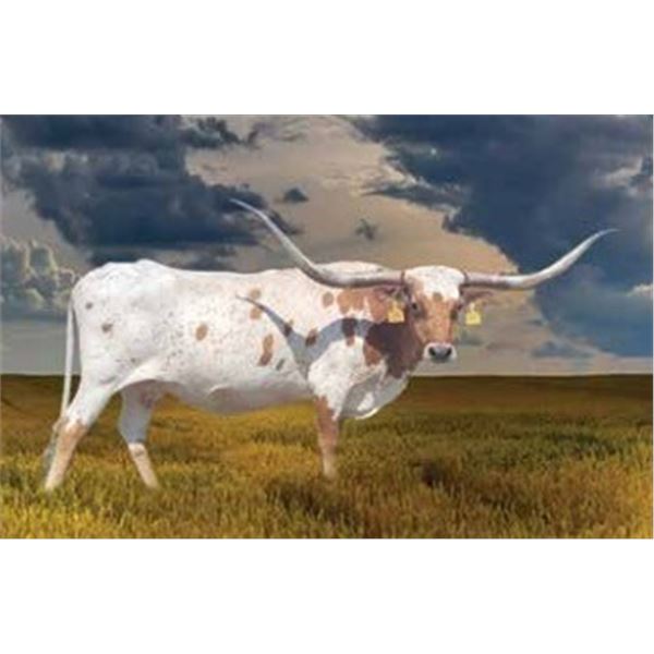 Rugged Cross Morn N Do