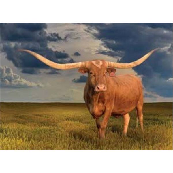 HUBBELLS CATCHIT MAID