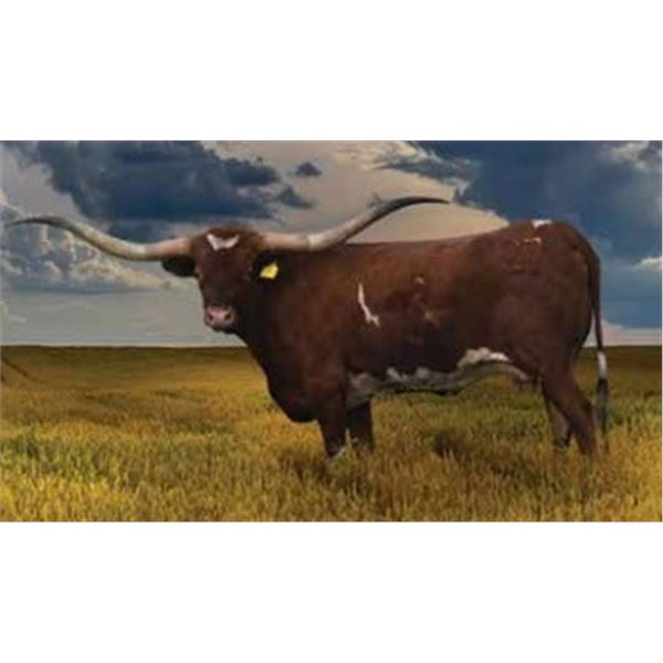 RJF ILLINI FULL ECLIPSE