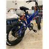 Image 2 : Synergy Rides E-Bike