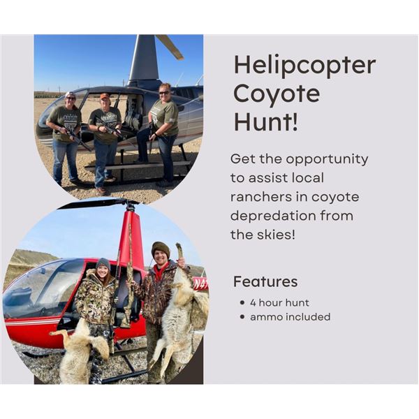 Helipcopter Coyote Hunt