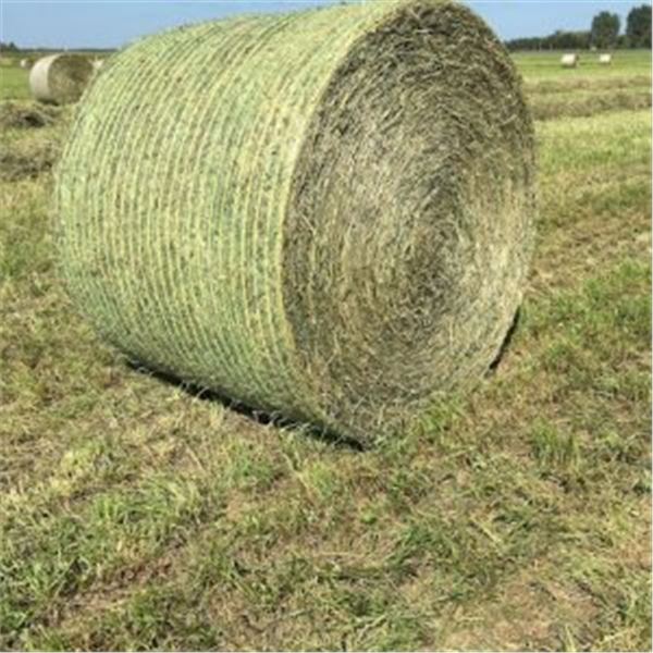 (6) 3rd Cutting Alfalfa bales