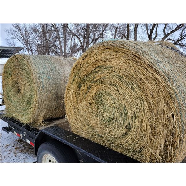 (30) Round Bales of Hay Barley