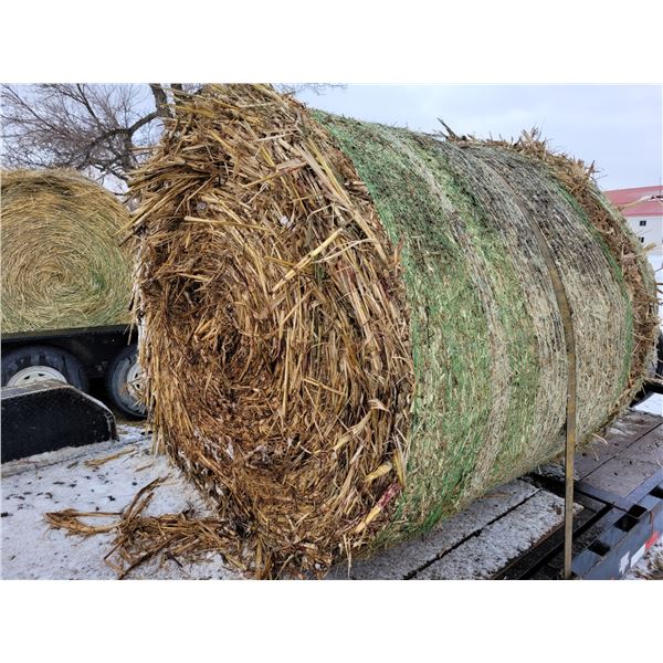 (34) Round Bales of Milo Stubble, delivered from Nebraska