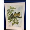 Image 2 : M.MORGAN WARREN ARTIST SIGNED LEP 98/300 WITH COA TITLED "OUT IN THE WORLD" (YOUNG ROBINS)