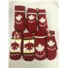 Image 1 : Winter Mitts