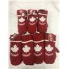 Image 1 : Canada Winter Mitts