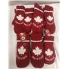 Image 1 : Vancouver Winter Mitts