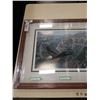 Image 2 : FRAMED LEP FREEDOM 2216/3750 BY PAUL RANKIN