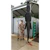 Image 8 : Wild Boar Hunt (Optional Use of Bay Dogs) up to 4 Hunters Ross Hammock Ranch Valued at $2,159
