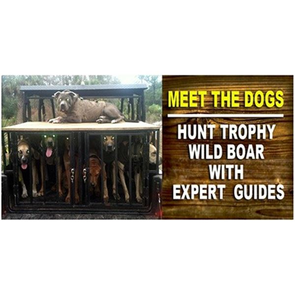 Wild Boar Hunt (Optional Use of Bay Dogs) up to 4 Hunters Ross Hammock Ranch Valued at $2,159