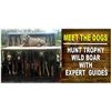 Image 1 : Wild Boar Hunt (Optional Use of Bay Dogs) up to 4 Hunters Ross Hammock Ranch Valued at $2,159