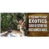 Image 3 : Wild Boar Hunt (Optional Use of Bay Dogs) up to 4 Hunters Ross Hammock Ranch Valued at $2,159