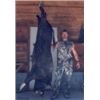 Image 9 : Wild Boar Hunt (Optional Use of Bay Dogs) up to 4 Hunters Ross Hammock Ranch Valued at $2,159