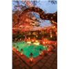 Image 3 : 8 Days & 7 Nights Mexico Getaway for two adults