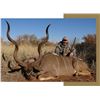 Image 11 : Limcroma Safaris Donate this incredible 10-day plains game hunt for 2 hunters. Valued at $14,000
