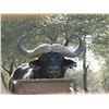 Image 12 : Limcroma Safaris Donate this incredible 10-day plains game hunt for 2 hunters. Valued at $14,000