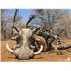 Image 4 : Limcroma Safaris Donate this incredible 10-day plains game hunt for 2 hunters. Valued at $14,000