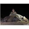 Image 6 : Limcroma Safaris Donate this incredible 10-day plains game hunt for 2 hunters. Valued at $14,000